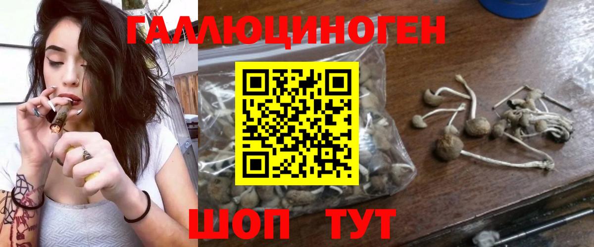 Галлюциногенные грибы ЛСД Югорск